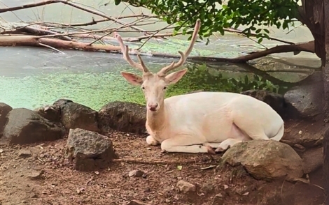 wild life sanctuary