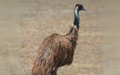 bird sanctuary